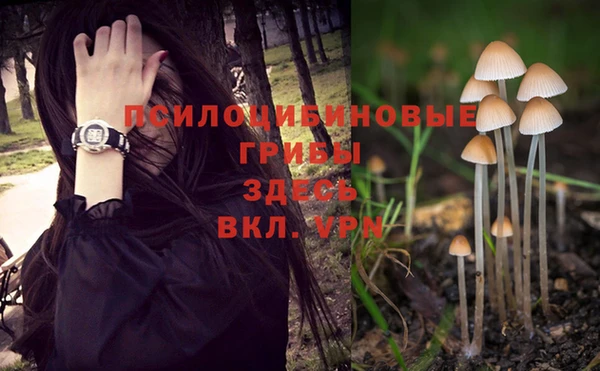 СК Баксан