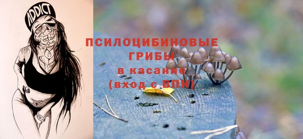 бутират Снежногорск